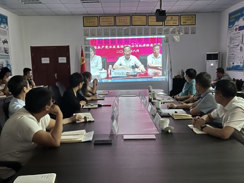 【河海水文】水發(fā)水控集團(tuán)黨委委員、紀(jì)委書記王高升到河海公司全面從嚴(yán)治黨、黨風(fēng)廉政建設(shè)專題調(diào)研 (1).jpg